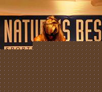 Click image for larger version

Name:	Cat.Miss Shape-30  V° Lasmanaviciute Indre (43).jpg
Views:	45
Size:	122.0 KB
ID:	15888914