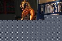 Click image for larger version

Name:	Cat.Miss Shape-30  V° Lasmanaviciute Indre (49).jpg
Views:	47
Size:	72.6 KB
ID:	15888920