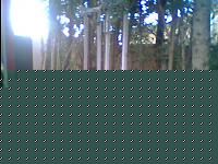 Click image for larger version

Name:	IMG0074A.jpg
Views:	222
Size:	72.4 KB
ID:	15889115