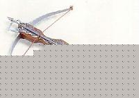 Click image for larger version

Name:	tirato a balestra.jpg
Views:	76
Size:	10.0 KB
ID:	15889123