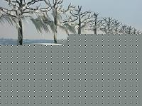 Click image for larger version

Name:	Senza titolo-1.jpg
Views:	73
Size:	119.3 KB
ID:	15889358