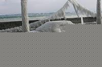 Click image for larger version

Name:	IMG_0290_redimensionner.jpg
Views:	54
Size:	128.2 KB
ID:	15889363
