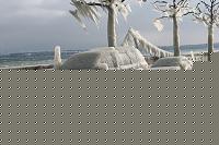 Click image for larger version

Name:	IMG_0368_redimensionner.jpg
Views:	55
Size:	149.0 KB
ID:	15889365