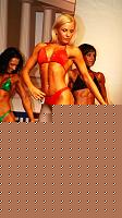 Click image for larger version

Name:	Cat.Miss Shape-30  IX° Agruma Ramona (27).jpg
Views:	61
Size:	155.7 KB
ID:	15891065