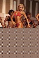 Click image for larger version

Name:	Cat.Miss Shape-30  IX° Agruma Ramona (28).jpg
Views:	59
Size:	149.2 KB
ID:	15891066