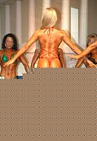 Click image for larger version

Name:	Cat.Miss Shape-30  IX° Agruma Ramona (31).jpg
Views:	79
Size:	135.7 KB
ID:	15891132
