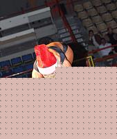 Click image for larger version

Name:	Cat.Miss Shape-30  IX° Agruma Ramona (68).jpg
Views:	63
Size:	123.1 KB
ID:	15891259