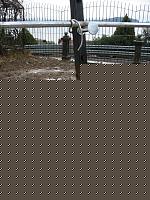 Click image for larger version

Name:	Immagine 005.jpg
Views:	95
Size:	207.7 KB
ID:	15891714