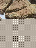 Click image for larger version

Name:	SNC00074.jpg
Views:	52
Size:	30.8 KB
ID:	15891756