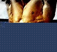 Click image for larger version

Name:	add.jpg
Views:	2583
Size:	13.3 KB
ID:	15891926