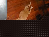 Click image for larger version

Name:	DSCF0585.jpg
Views:	92
Size:	63.1 KB
ID:	15892148