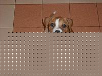 Click image for larger version

Name:	DSCF0612.jpg
Views:	89
Size:	80.2 KB
ID:	15892149