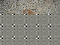 Click image for larger version

Name:	DSCF0677.jpg
Views:	76
Size:	131.9 KB
ID:	15892150