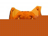 Click image for larger version

Name:	schiena indurim 2 copia.jpg
Views:	392
Size:	34.1 KB
ID:	15892162