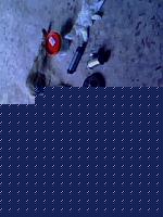 Click image for larger version

Name:	MATERIALE T-HANDLE.jpg
Views:	90
Size:	22.2 KB
ID:	15892396