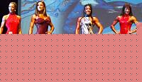 Click image for larger version

Name:	Cat.Figure Conf. (34).jpg
Views:	459
Size:	137.5 KB
ID:	15892502