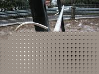 Click image for larger version

Name:	Immagine 003.jpg
Views:	166
Size:	86.5 KB
ID:	15893049