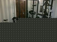 Click image for larger version

Name:	25052009041.jpg
Views:	323
Size:	80.1 KB
ID:	15893415
