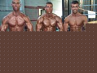 Click image for larger version

Name:	ASTI GRANPRIX 2009 WABBA 018 [].jpg
Views:	177
Size:	47.7 KB
ID:	15893433