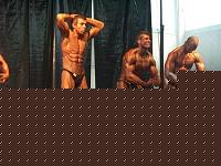 Click image for larger version

Name:	ASTI GRANPRIX 2009 WABBA 065 [].jpg
Views:	141
Size:	45.0 KB
ID:	15893436