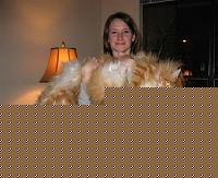 Click image for larger version

Name:	Gatto.jpg
Views:	68
Size:	23.7 KB
ID:	15893457