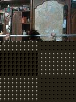 Click image for larger version

Name:	Foto0339.jpg
Views:	53
Size:	67.0 KB
ID:	15893763