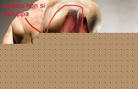 Click image for larger version

Name:	Tricipiti_full.jpg2.jpg
Views:	3027
Size:	25.5 KB
ID:	15895708