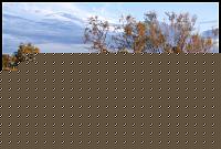 Click image for larger version

Name:	st.maries.jpg
Views:	64
Size:	102.9 KB
ID:	15896035