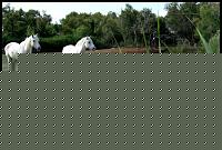 Click image for larger version

Name:	st.maries-ch.jpg
Views:	66
Size:	110.1 KB
ID:	15896036