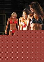Click image for larger version

Name:	Cat.Miss Shape-30 Conf. frontale (2).jpg
Views:	347
Size:	127.4 KB
ID:	15896134