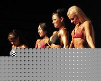 Click image for larger version

Name:	Cat.Miss Shape-30 Conf. frontale (3).jpg
Views:	235
Size:	80.8 KB
ID:	15896135