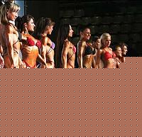 Click image for larger version

Name:	Cat.Miss Shape-30 Conf. frontale (4).jpg
Views:	227
Size:	34.4 KB
ID:	15896136