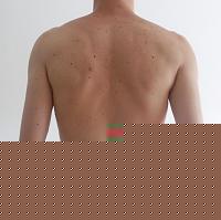 Click image for larger version

Name:	back.jpg
Views:	58
Size:	61.5 KB
ID:	15896139