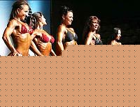 Click image for larger version

Name:	Cat.Miss Shape-30 Conf. frontale (6).jpg
Views:	229
Size:	37.5 KB
ID:	15896179