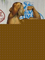 Click image for larger version

Name:	Cat.Medie Taglie VI class Decorato Sabino (3).jpg
Views:	98
Size:	96.6 KB
ID:	15896242