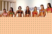 Click image for larger version

Name:	Cat.Miss Shape-30 Conf. frontale (21).jpg
Views:	459
Size:	108.2 KB
ID:	15896278