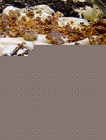 Click image for larger version

Name:	gelato3.jpg
Views:	58
Size:	116.3 KB
ID:	15896319