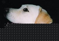 Click image for larger version

Name:	Olga2.jpg
Views:	188
Size:	235.5 KB
ID:	15896329