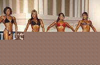 Click image for larger version

Name:	Cat.Miss Shape-30 Conf. frontale (30).jpg
Views:	228
Size:	90.4 KB
ID:	15896386