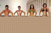 Click image for larger version

Name:	Cat.Miss Shape-30 Conf. frontale (31).jpg
Views:	227
Size:	84.0 KB
ID:	15896387