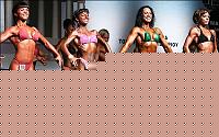 Click image for larger version

Name:	Cat.Miss Shape-30 Conf. frontale (35).jpg
Views:	201
Size:	51.4 KB
ID:	15896416