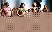 Click image for larger version

Name:	Cat.Miss Shape-30 Conf. frontale (38).jpg
Views:	241
Size:	52.0 KB
ID:	15896419