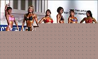 Click image for larger version

Name:	Cat.Miss Shape-30 Conf. frontale (39).jpg
Views:	234
Size:	52.8 KB
ID:	15896420