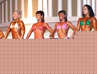 Click image for larger version

Name:	Cat.Miss Shape-30 Conf. frontale (41).jpg
Views:	190
Size:	110.8 KB
ID:	15896438