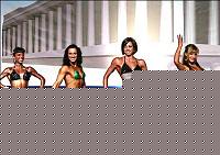 Click image for larger version

Name:	Cat.Miss Shape-30 Conf. frontale (46).jpg
Views:	65
Size:	44.2 KB
ID:	15896663