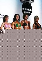 Click image for larger version

Name:	Cat.Miss Shape-30 Conf. frontale (47..).jpg
Views:	69
Size:	45.3 KB
ID:	15896664