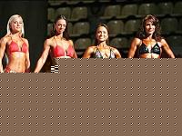 Click image for larger version

Name:	Cat.Miss Shape-30 Conf. frontale (47...).jpg
Views:	161
Size:	32.4 KB
ID:	15896700