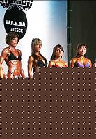 Click image for larger version

Name:	Cat.Miss Shape-30 Conf. frontale (47.).jpg
Views:	167
Size:	43.2 KB
ID:	15896723