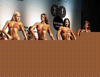 Click image for larger version

Name:	Cat.Miss Shape-30 Conf. frontale (49).jpg
Views:	60
Size:	74.7 KB
ID:	15896748