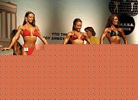 Click image for larger version

Name:	Cat.Miss Shape-30 Conf. frontale (65).jpg
Views:	55
Size:	98.4 KB
ID:	15896785
